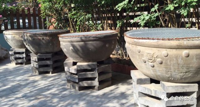 古玉石雕刻方法有哪些_雕刻玉石古法圖片_玉石古法雕刻