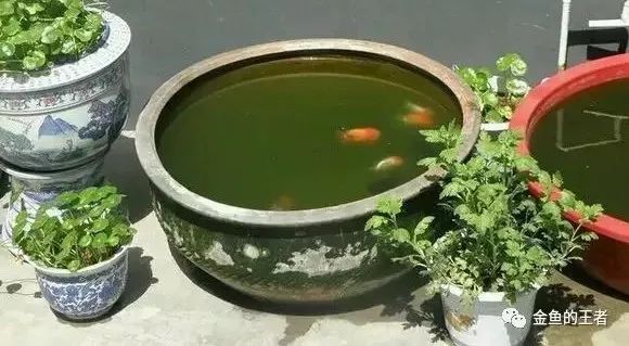 古玉石雕刻方法有哪些_雕刻玉石古法圖片_玉石古法雕刻