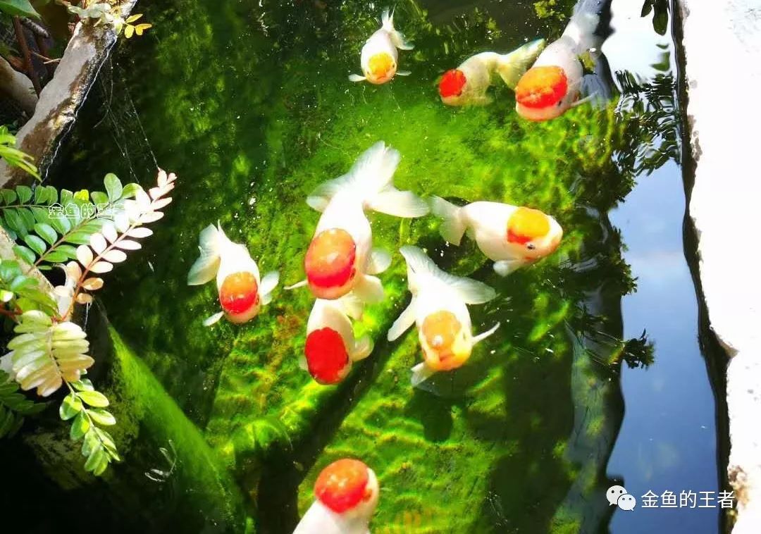 玉石古法雕刻_雕刻玉石古法圖片_古玉石雕刻方法有哪些