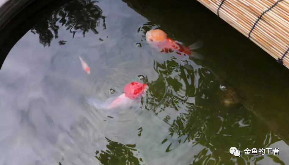 古玉石雕刻方法有哪些_雕刻玉石古法圖片_玉石古法雕刻