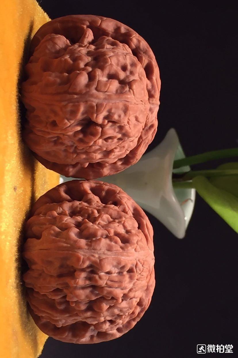 文玩核桃挑選的七要點_核桃挑選文玩怎么選_文玩核桃怎么挑選