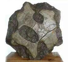 奇石收購_奇石收藏_有收奇石的嗎