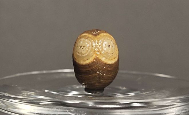 奇石賣給誰_奇石賣了60萬需要交多少稅_奇石怎樣賣