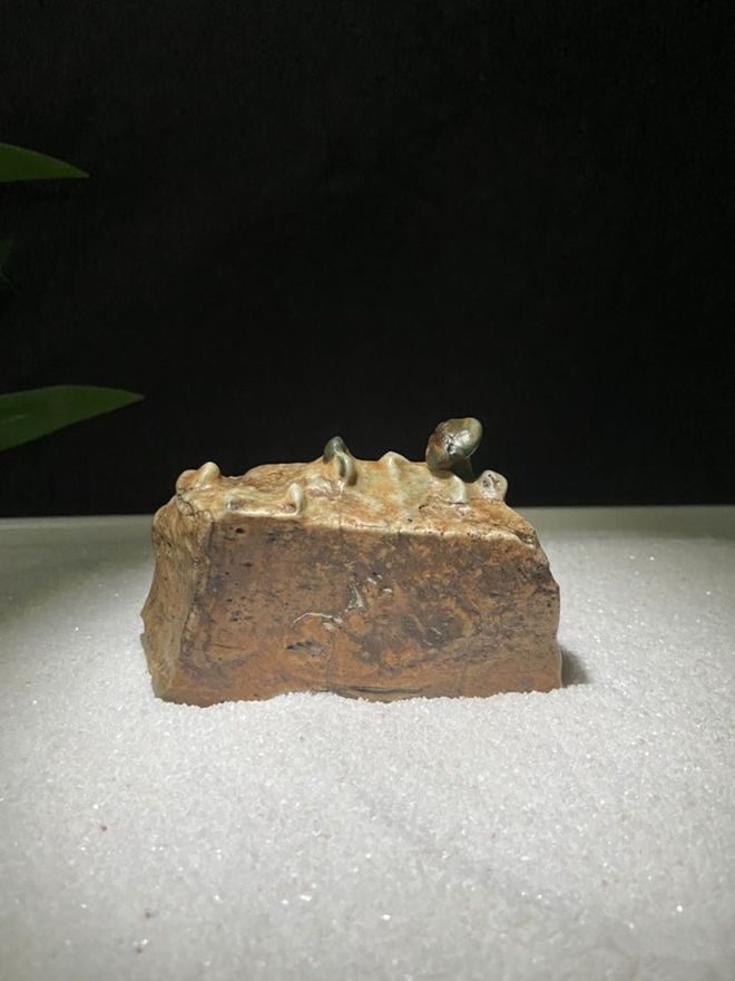 奇石怎樣賣_奇石賣給誰_奇石賣了60萬需要交多少稅