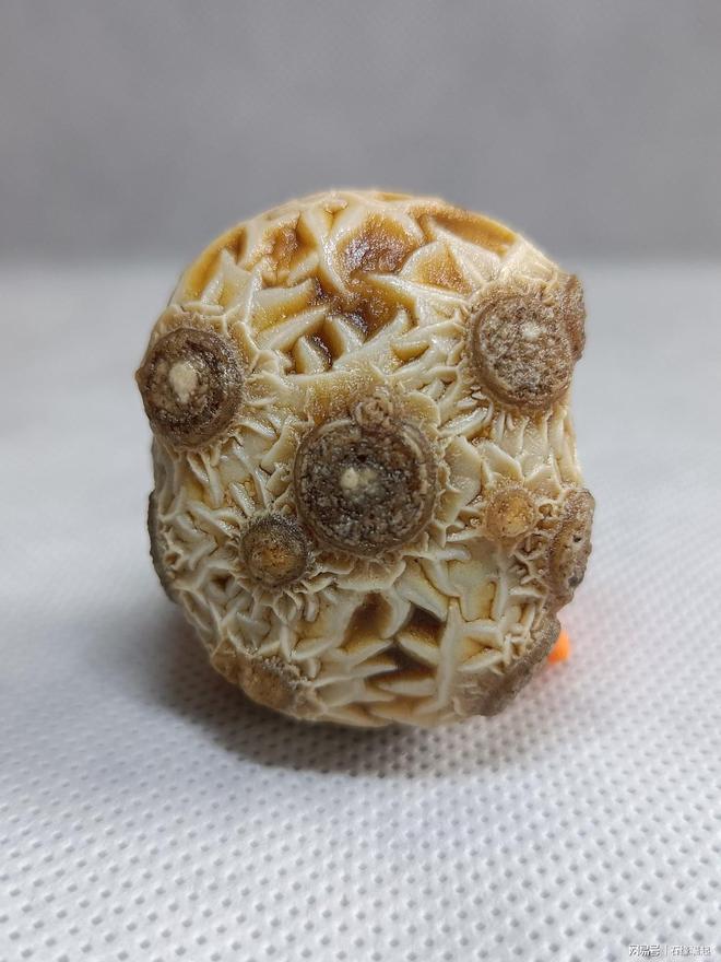 奇石鑒定_什么什么的奇石_皇山奇石介紹了那些奇石