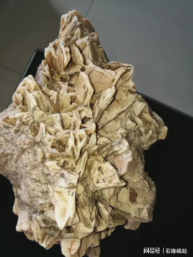 皇山奇石介紹了那些奇石_奇石鑒定_什么什么的奇石