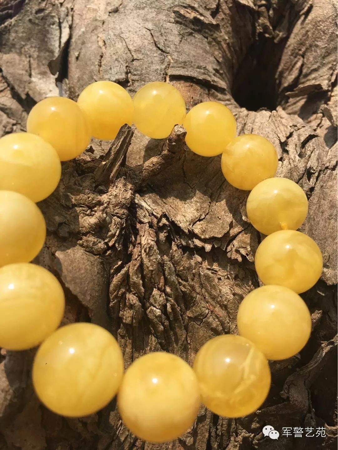 蜜蠟是帶白花好還是純黃好_蜜蠟黃白花是啥料_白花蜜蠟和黃蜜蠟哪個好