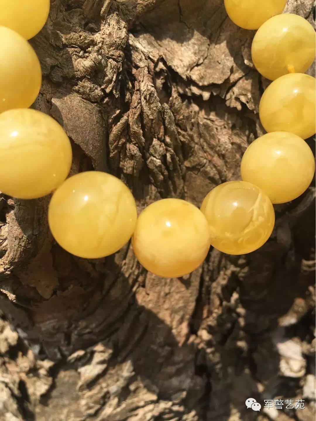 蜜蠟是帶白花好還是純黃好_蜜蠟黃白花是啥料_白花蜜蠟和黃蜜蠟哪個好