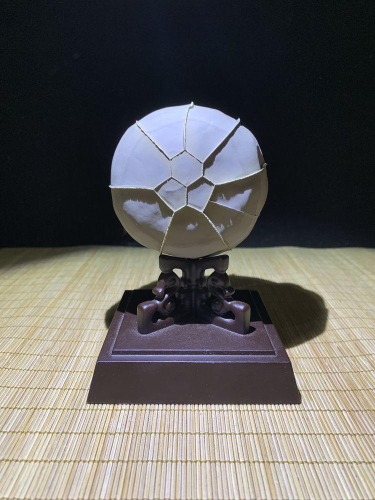 龜紋石頭_龜紋石奇石_龜紋石奇石收藏價格