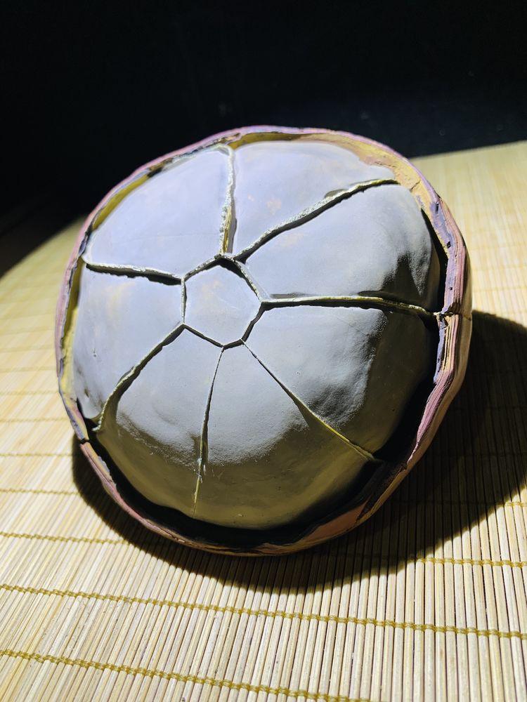 龜紋石奇石_龜紋石奇石收藏價格_龜紋石頭