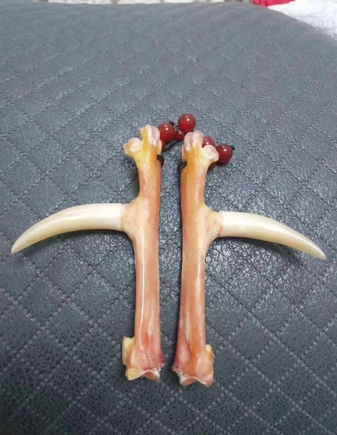 雞爪子文玩怎么配裝飾_文玩雞爪子有什么寓意_雞爪子文玩