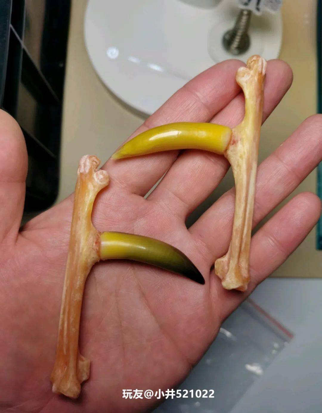 雞爪子文玩怎么配裝飾_雞爪子文玩_文玩雞爪子有什么寓意