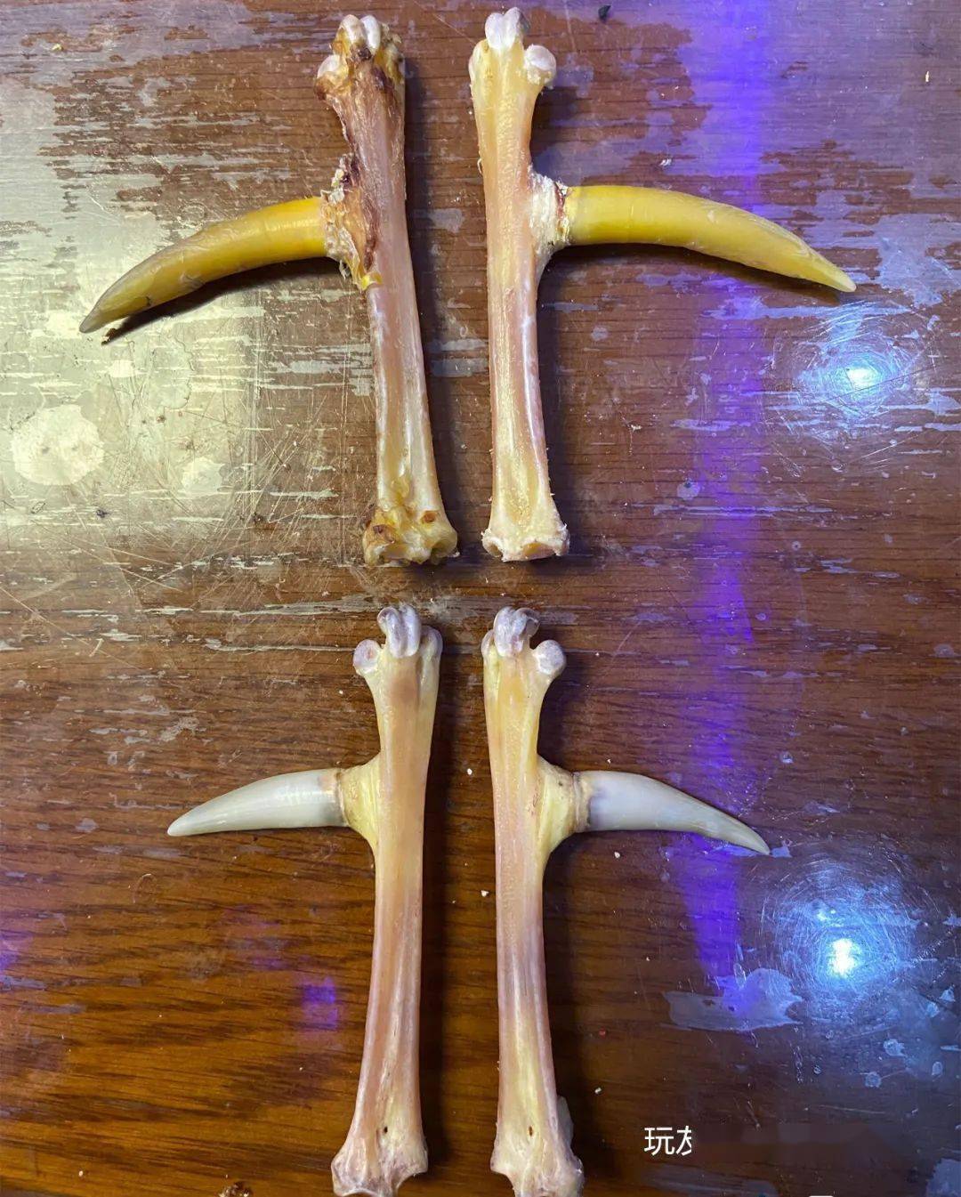 文玩雞爪子有什么寓意_雞爪子文玩_雞爪子文玩怎么配裝飾