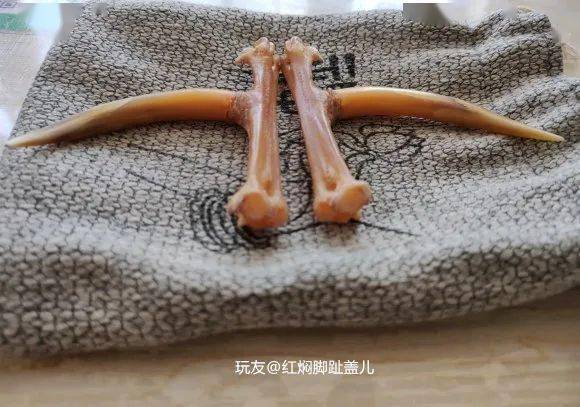 雞爪子文玩_文玩雞爪子有什么寓意_雞爪子文玩怎么配裝飾