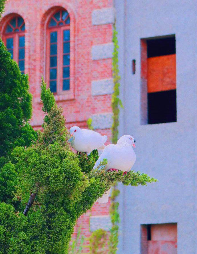 天津奇石館_天津奇石園_天津奇石公園在哪
