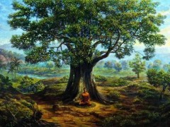 世界上到底有沒有菩提樹？