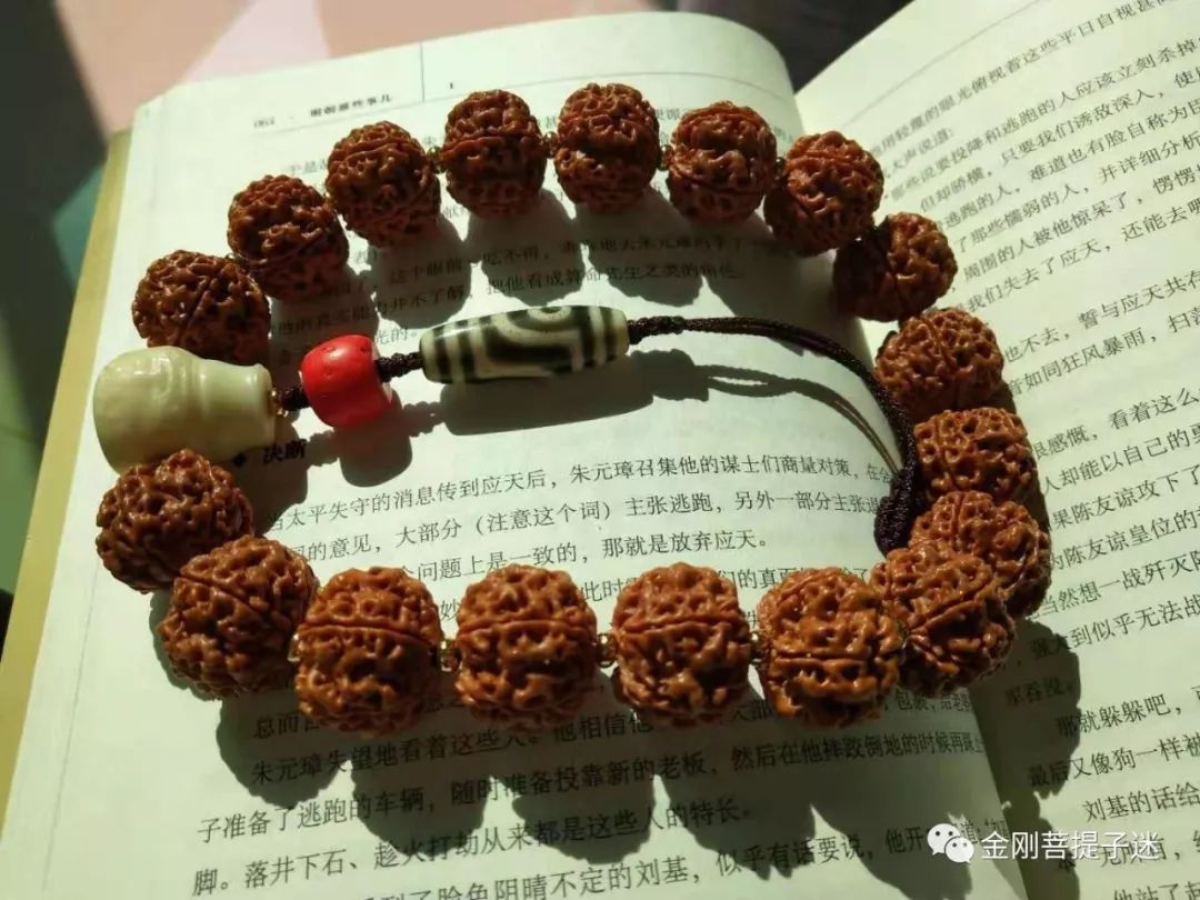 菩提金剛手串幾瓣的好_金剛菩提手串好嗎_金剛菩提手串好評(píng)評(píng)語(yǔ)