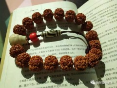 什么價格的金剛菩提能畢業？那要看你兜里有多少銀子！