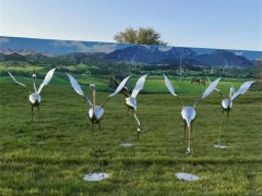 鏡面不銹鋼仙鶴雕塑，定做抽象動物雕塑仙鶴