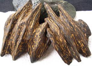 沉香奇楠樹種_奇楠沉香有幾種_沉香種奇楠有香味嗎