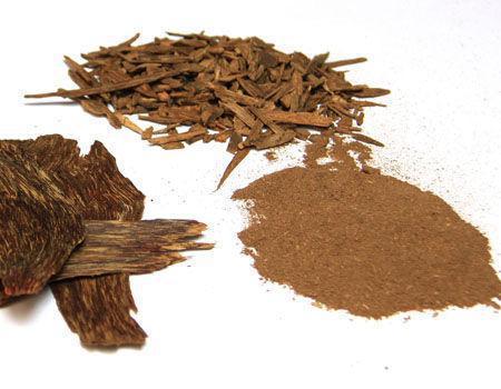 沉香奇楠樹種_沉香種奇楠有香味嗎_奇楠沉香有幾種