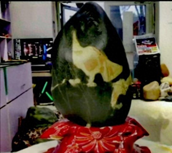 孕育奇石圖片_奇石哺育_奇石孕育