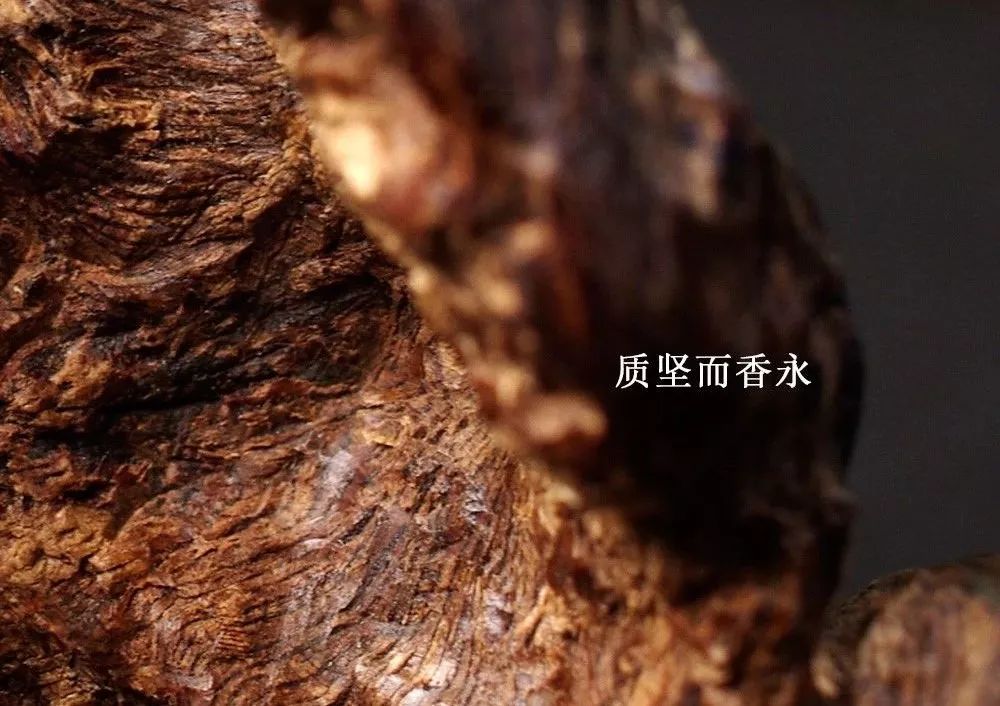 沉香茶道_沉香與茶_沉香茶是什么茶